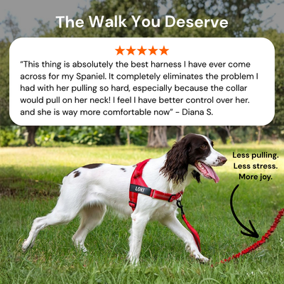 Furrox NoPull Harness™