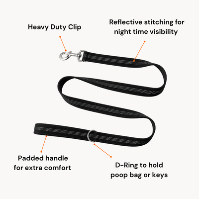 Furrox ClassicLeash™