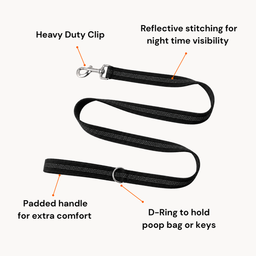 Furrox ClassicLeash™
