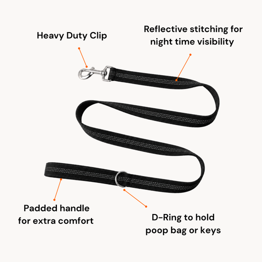 Furrox ClassicLeash™