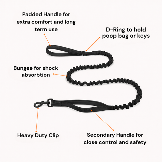 Furrox NoPull Harness™